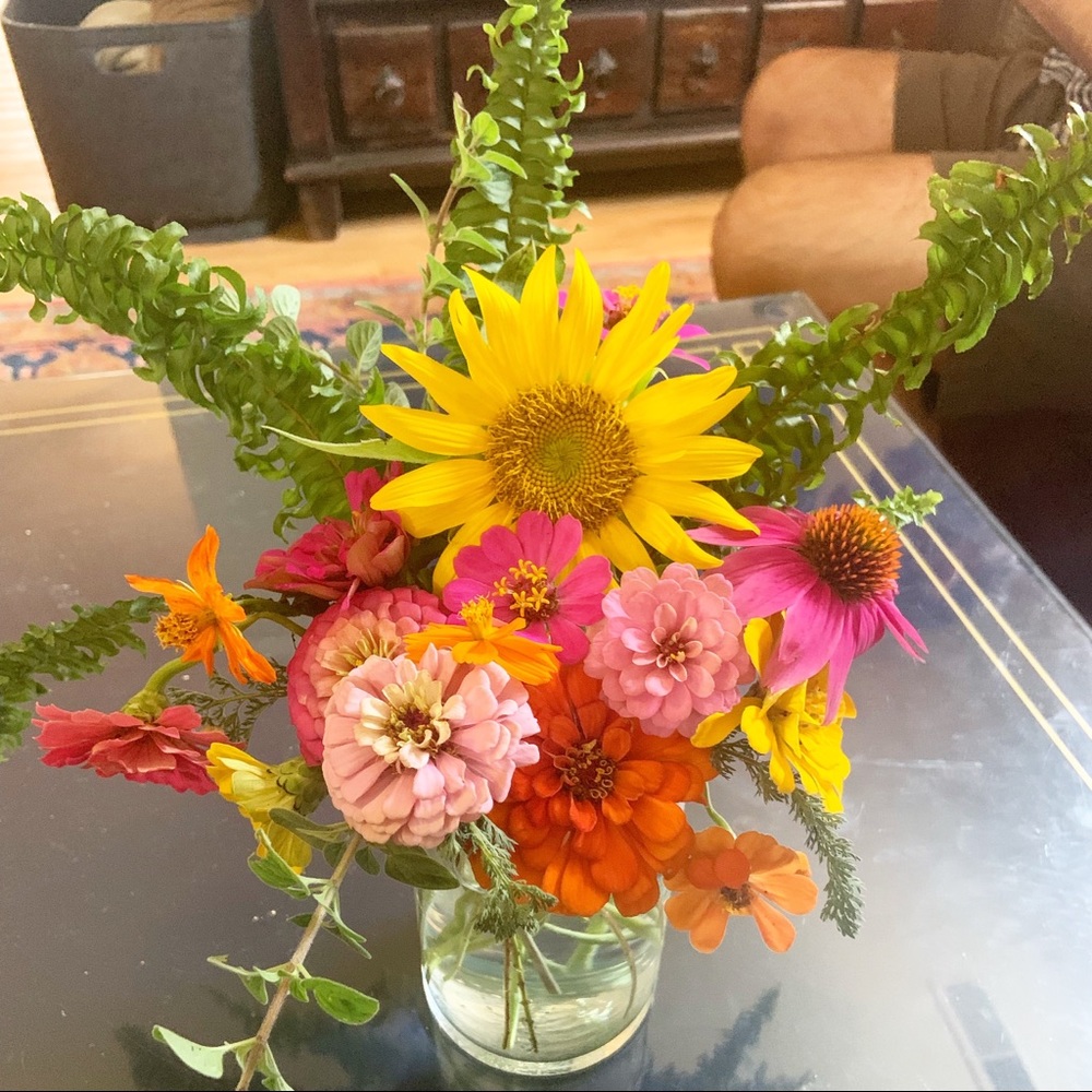 Meet your Posher, Annelise